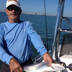 Meet your Posher, Gordon